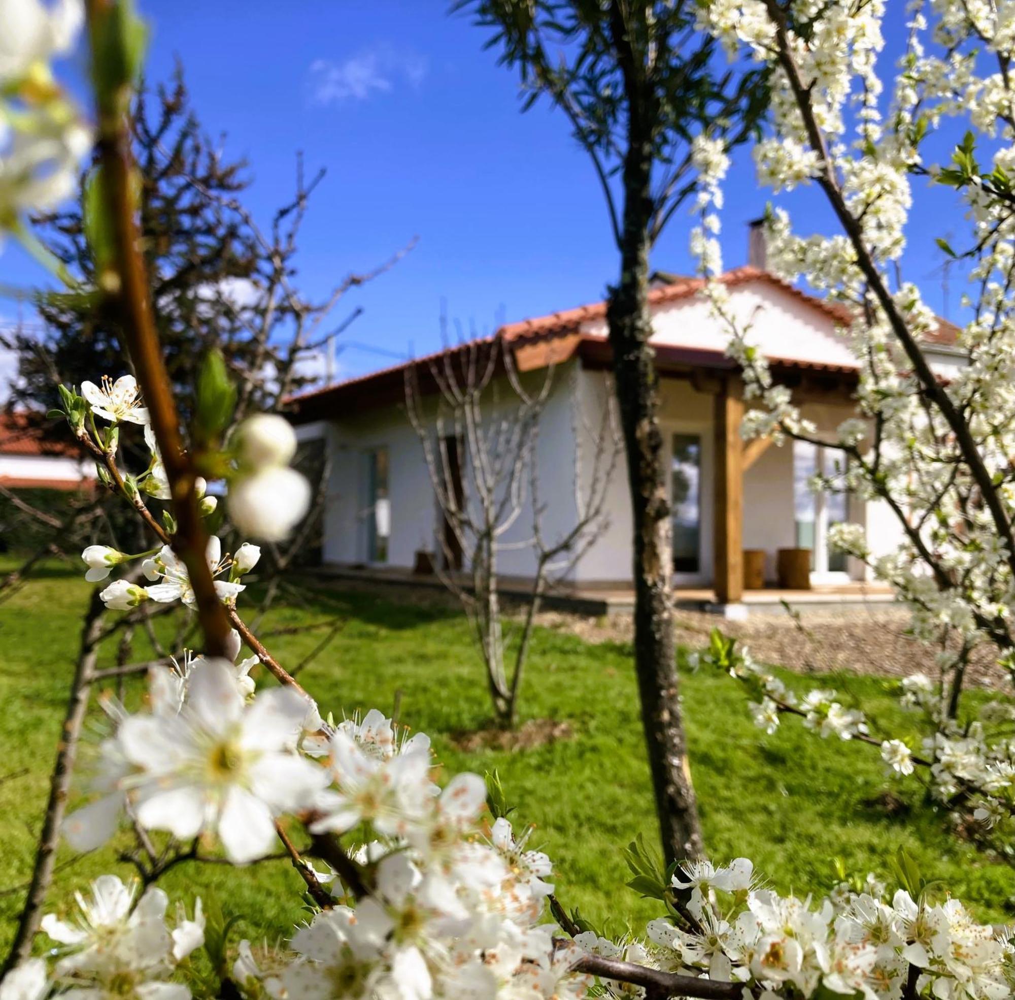 Villa Ar Da Beira Belmonte  Esterno foto