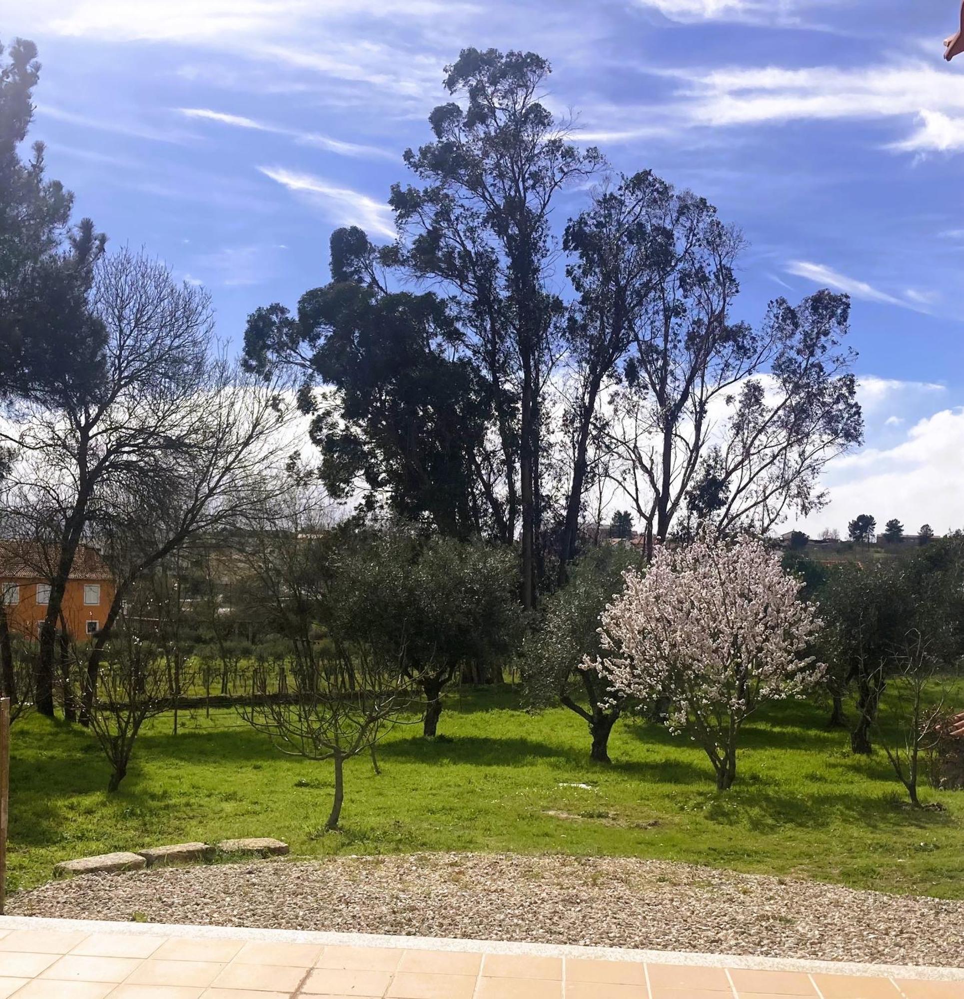 Villa Ar Da Beira Belmonte  Esterno foto